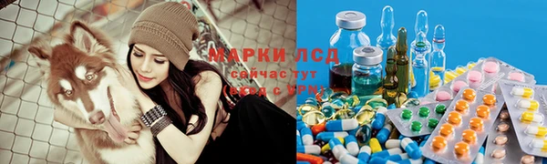 спиды Абдулино