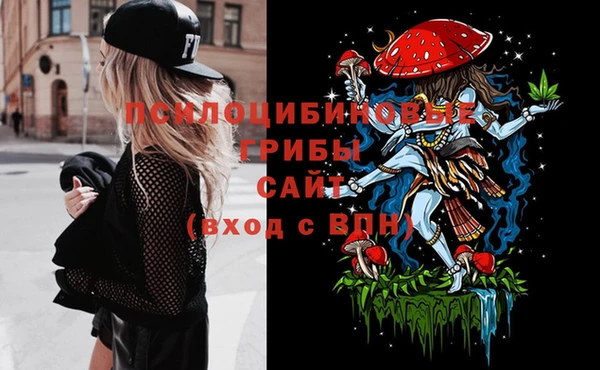 дживик Абинск