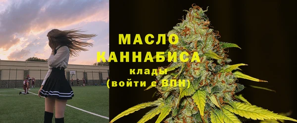 дживик Абинск