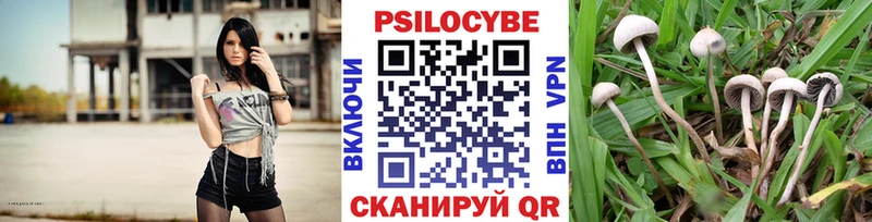 Псилоцибиновые грибы ЛСД  купить наркоту  Барнаул 