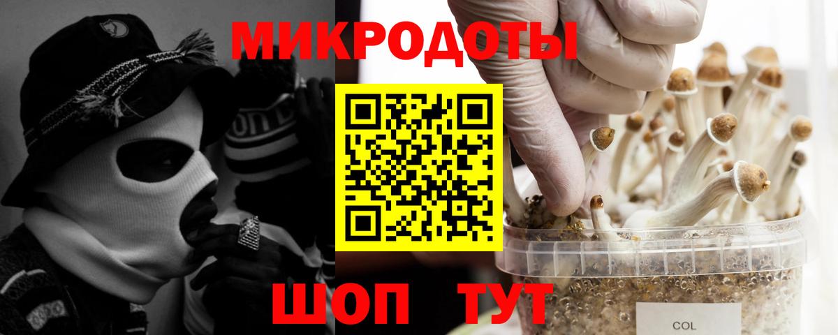 Барнаул  Галлюциногенные грибы Psilocybe  Псилоцибиновые грибы прущие грибы  Вход с VPN 